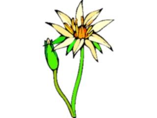 Sticker Custom Preview Image #104589 Plants Flowers Flowers Lotus Flower3