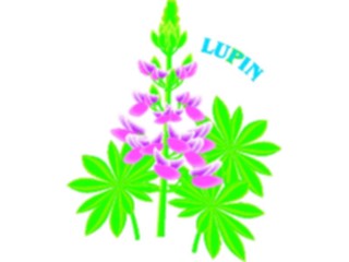 Sticker Custom Preview Image #104591 Plants Flowers Flowers Lupin