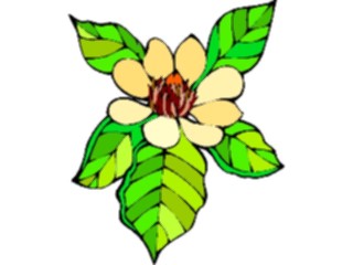 Sticker Custom Preview Image #104594 Plants Flowers Flowers Magnolia3