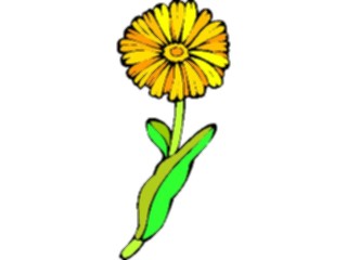 Sticker Custom Preview Image #104598 Plants Flowers Flowers Marigold2