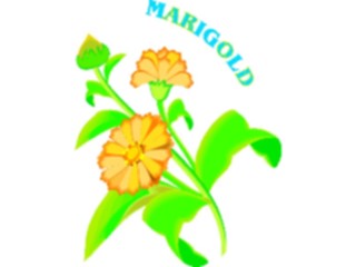 Sticker Custom Preview Image #104599 Plants Flowers Flowers Marigold3