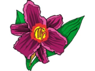 Sticker Custom Preview Image #104601 Plants Flowers Flowers Minstrel Boy