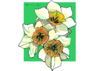 Sticker Custom Preview Image #104611 Plants Flowers Flowers Narcissus7