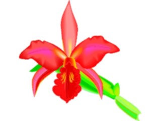 Sticker Custom Preview Image #104620 Plants Flowers Flowers Orchid1