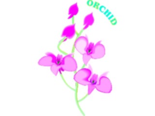 Sticker Custom Preview Image #104622 Plants Flowers Flowers Orchid3