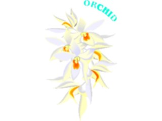 Sticker Custom Preview Image #104624 Plants Flowers Flowers Orchid5