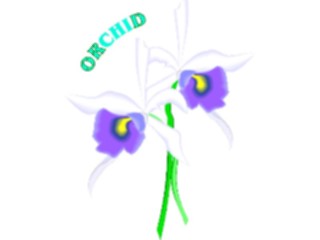 Sticker Custom Preview Image #104625 Plants Flowers Flowers Orchid6