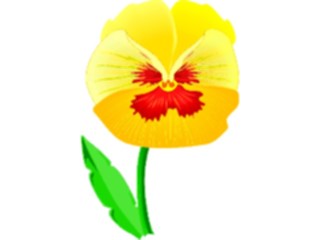 Sticker Custom Preview Image #104629 Plants Flowers Flowers Pansy2