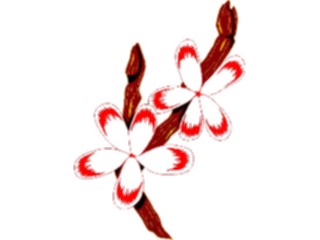 Sticker Custom Preview Image #104635 Plants Flowers Flowers Pear Blossom