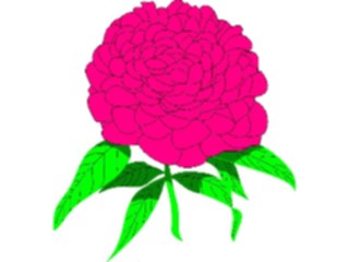 Sticker Custom Preview Image #104636 Plants Flowers Flowers Peony1