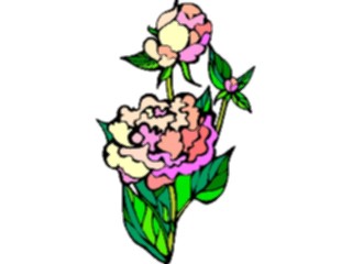 Sticker Custom Preview Image #104639 Plants Flowers Flowers Peony4