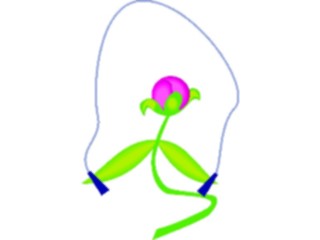 Sticker Custom Preview Image #104641 Plants Flowers Flowers Peony6