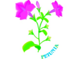 Sticker Custom Preview Image #104643 Plants Flowers Flowers Petunia2