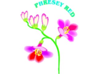 Sticker Custom Preview Image #104646 Plants Flowers Flowers Phresey Red