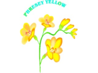 Sticker Custom Preview Image #104647 Plants Flowers Flowers Phresey Yellow