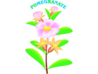 Sticker Custom Preview Image #104648 Plants Flowers Flowers Pomegranate