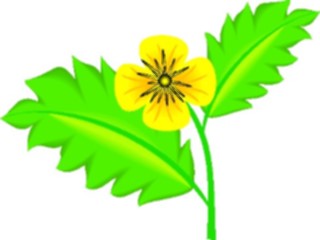 Sticker Custom Preview Image #104650 Plants Flowers Flowers Poppy1