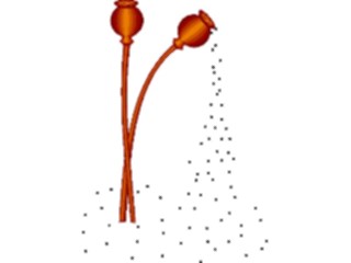 Sticker Custom Preview Image #104651 Plants Flowers Flowers Poppy2