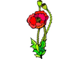 Sticker Custom Preview Image #104652 Plants Flowers Flowers Poppy3
