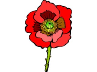 Sticker Custom Preview Image #104654 Plants Flowers Flowers Poppy5