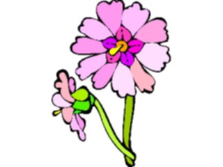 Sticker Custom Preview Image #104657 Plants Flowers Flowers Primrose2