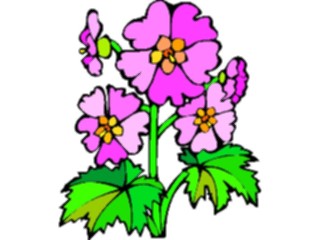 Sticker Custom Preview Image #104658 Plants Flowers Flowers Primrose3