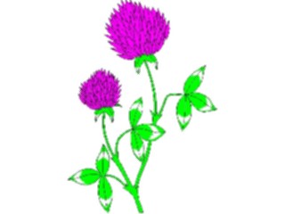 Sticker Custom Preview Image #104659 Plants Flowers Flowers Red Clover