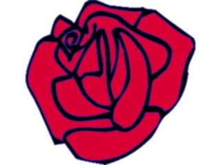 Sticker Custom Preview Image #104681 Plants Flowers Flowers Rose19