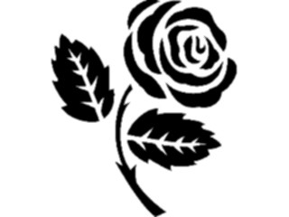 Sticker Custom Preview Image #104696 Plants Flowers Flowers Rose34