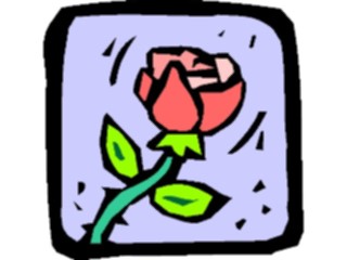 Sticker Custom Preview Image #104699 Plants Flowers Flowers Rose37