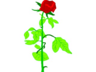 Sticker Custom Preview Image #104703 Plants Flowers Flowers Rose41