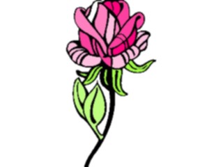 Sticker Custom Preview Image #104705 Plants Flowers Flowers Rose43