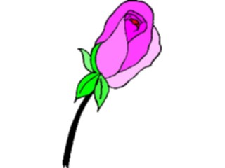 Sticker Custom Preview Image #104708 Plants Flowers Flowers Rose46