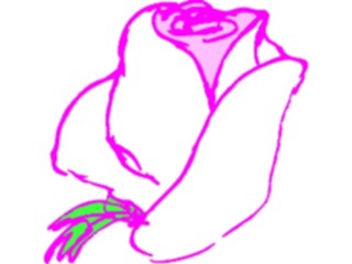 Sticker Custom Preview Image #104713 Plants Flowers Flowers Rose51