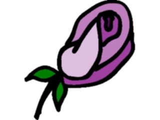 Sticker Custom Preview Image #104714 Plants Flowers Flowers Rose52