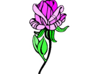Sticker Custom Preview Image #104715 Plants Flowers Flowers Rose53