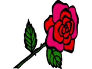 Sticker Custom Preview Image #104718 Plants Flowers Flowers Rose56