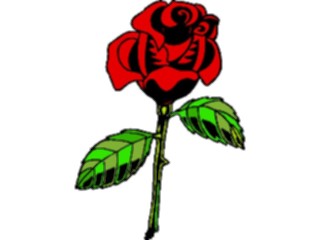 Sticker Custom Preview Image #104719 Plants Flowers Flowers Rose57