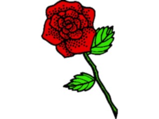 Sticker Custom Preview Image #104720 Plants Flowers Flowers Rose58