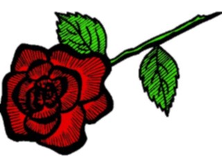 Sticker Custom Preview Image #104721 Plants Flowers Flowers Rose59