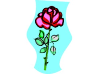 Sticker Custom Preview Image #104722 Plants Flowers Flowers Rose60