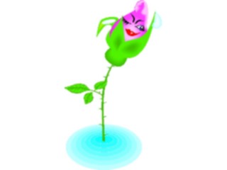 Sticker Custom Preview Image #104725 Plants Flowers Flowers Rose63