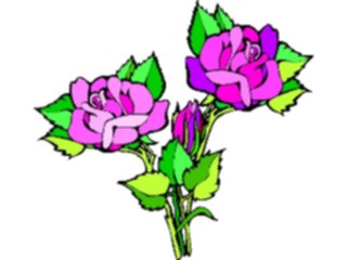 Sticker Custom Preview Image #104728 Plants Flowers Flowers Rose66