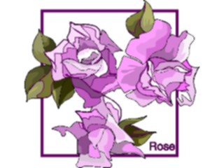 Sticker Custom Preview Image #104732 Plants Flowers Flowers Rose70