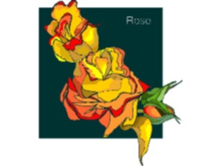 Sticker Custom Preview Image #104733 Plants Flowers Flowers Rose71