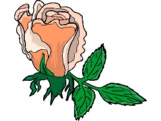 Sticker Custom Preview Image #104734 Plants Flowers Flowers Rose72