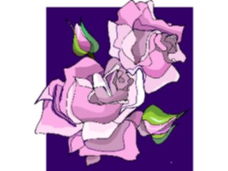 Sticker Custom Preview Image #104737 Plants Flowers Flowers Rose75