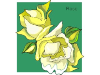 Sticker Custom Preview Image #104739 Plants Flowers Flowers Rose77