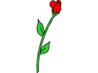 Sticker Custom Preview Image #104740 Plants Flowers Flowers Rose78