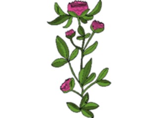 Sticker Custom Preview Image #104741 Plants Flowers Flowers Rose79